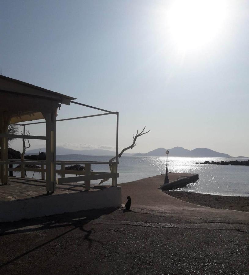 Hotel Rena Ágios Kírykos エクステリア 写真